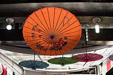 Hooded Horse获《影子诡局：被诅咒的海盗》发行权